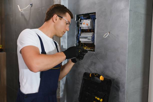 Best Affordable Electrician  in Forest City, IA